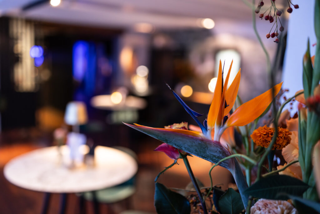 bedrijfsreportages 0h8a5195 enhanced nr